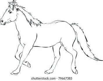 Sketch Running Horse Stock Vector (Royalty Free) 79667383 | Shutterstock