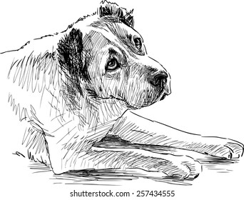 sketch of a sad dog