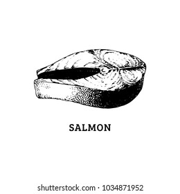Sketch of salmon steak. Vector illustration in engraved style. Drawn image of healthy seafood. Used for fish restaurant, market, store, etc.