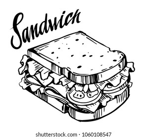 Sketch of sandwich. Hand drawn illustration converted to vector