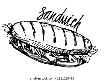 Sketch of sandwich. Hand drawn illustration converted to vector