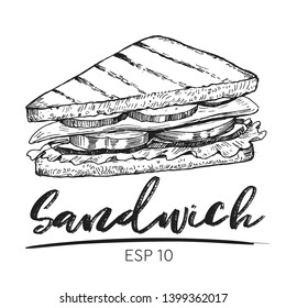 Sketch of sandwich. Hand drawn illustration converted to vector