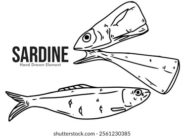 Sketch of sardines with images of whole fish and cut fish, hand drawn in black ink. For design of food elements, menus, seafood and others