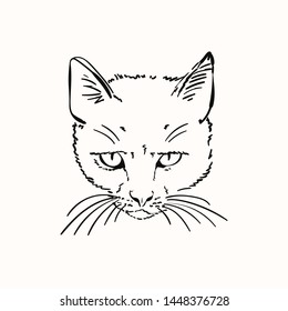 Sketch of scary angry cat head, Hand drawn vector linear illustration