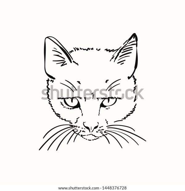 Sketch Scary Angry Cat Head Hand Animalswildlife Stock Image