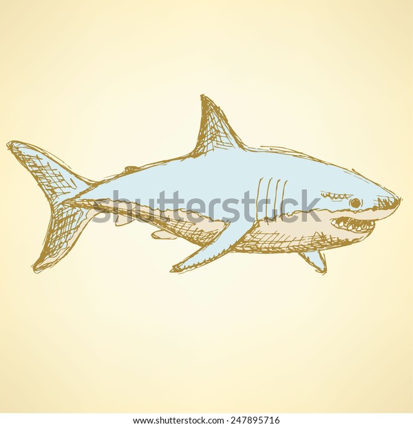 Sketch Scary Shark Vintage Style Vector Stock Vector (Royalty Free