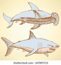 Sketch scary sharks in vintage style, vector