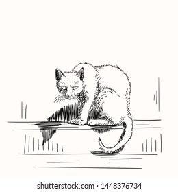 Sketch of scary sitting scruffy cat looking mad, Hand drawn vector illustration