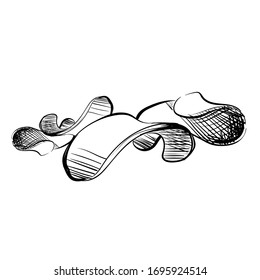 sketch, a scattered vector of potato chips