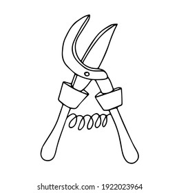Sketch of  scissors. Doodle isolated outline element on the white background. Vector illustration. 