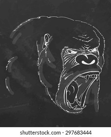 Sketch screaming chimp on chalk board. Vector illustration.