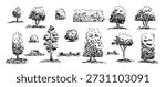 Sketch scribble forest trees, garden hedge, bushes. Hand-drawn line art oak, pine, stump silhouettes. Black and white nature illustrations of grass, foliage. Vector park tree doodle ink isolated.