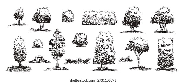 Esboçar árvores de floresta rabiscada, cerca viva, arbustos. Linhagem desenhada à mão de carvalho, pinheiro, silhuetas de coto. Ilustrações da natureza preto e branco de grama, folhagem. Vetor parque árvore doodle tinta isolada.