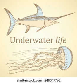 Sketch sea creatures in vintage style, vector