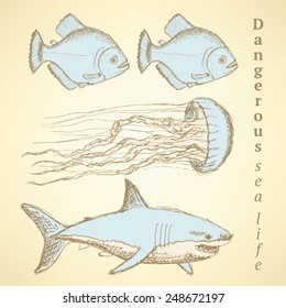 Sketch sea creatures in vintage style, vector