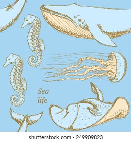 Sketch sea creatures in vintage style, vector seamless pattern 