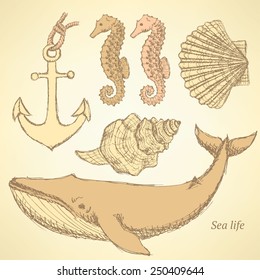 Sketch sea creatures in vintage style, vector 