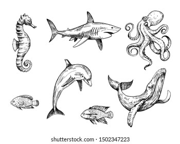 Sketch of sea ​​creatures. Hand drawn illustration converted to vector