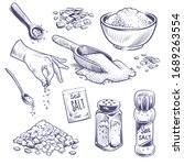 Sketch sea salt. Hand drawn spice, seasoning packaging. Glass bottles with salt powder, salting crystals vintage engraved vector kitchenware set