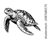 Sketch of a sea turtle swimming, side view, on a white background