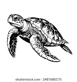 Sketch of a sea turtle swimming, side view, on a white background