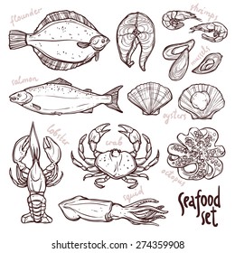 Sketch seafood collection, hand drawn illustration with lobster, squid, salmon, flounder, crab, octopus, mussels, oysters and shrimps on white background