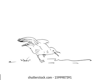 Sketch of seagull doing poop, Vector hand drawn illustration