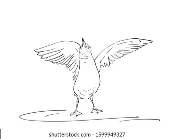 Esbozo de la gaviota es extender alas para volar, ilustración dibujada a mano vectorial