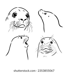 Sketch of a seal on a stone. Hand drawn sketch converted to vector