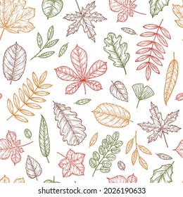 Sketch seamless pattern with color autumn leaves.