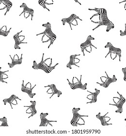 Sketch Seamless pattern with wild animal zebra print, silhouette on white background. Vector illustrations.