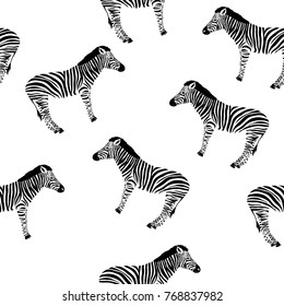 Sketch Seamless pattern with wild animal zebra print, silhouette on white background. Vector illustrations. Wild African animals.