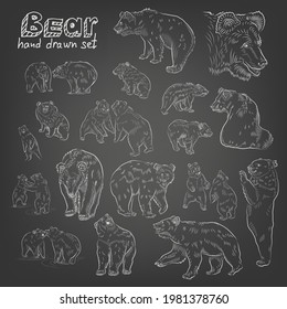 Sketch. Set of bears.  Hand drawn. Chalk style.