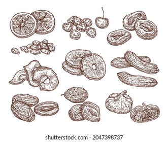 Sketch set of dried fruits. Vector hand drawing of date, raisins, figs, prunes, dried apricots, banana and pineapple. Healthy snack.