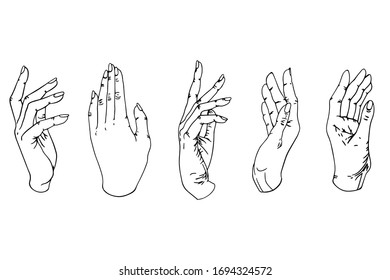 Sketch set of female hands. Individual body parts on a white background. Black and white vector illustration.