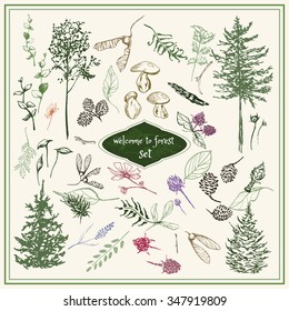 Sketch set of forest floral elements 