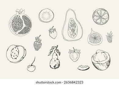 Sketch set fruits, hand drawn tropical fruits and berries. Sweet fresh sliced kiwi, peach and pomegranate, cute cherry and strawberry. Pear with leaves. Coconut slice and half figs.