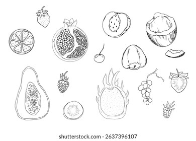 Sketch set fruits, hand drawn tropical fruits and berries. Sweet fresh sliced kiwi, peach and pomegranate, cute cherry and strawberry. Pear with leaves. Coconut slice and half figs.