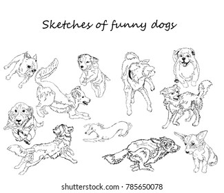 Sketch set of funny dogs,cute painted puppy dog vector illustration of dog.Friends man pets