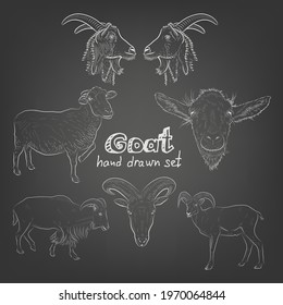 Sketch. Set of goats. Chalk style. Minimalistic style