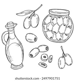 Sketch set of green olives branch and leaves, bottles of olive oil, doodle vector illustration