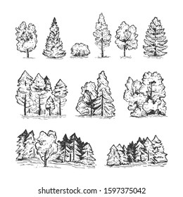 Sketch set of hand drawn tree and landscapes. Black line isolated on white. Coniferous and deciduous trees. Vector illustration
