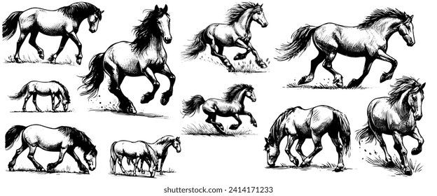 sketch set horses. Minimalism horse portrait and silhouette, stable animals single continuous line vector illustration set. Continuous linear design. Elegant characters running and standing