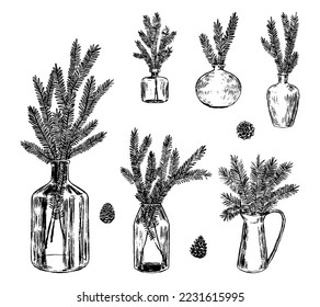 Esbozo conjunto de jarras con ramas de abetos y conos. Colección botánica de ramas de árbol de Navidad en jarrones. Ilustraciones vectoriales dibujadas a mano. Esbozar las artes de los clips florales aislados en blanco.