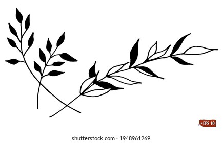 Esbozo de un conjunto de hojas. Ilustración vectorial dibujada a mano de un conjunto de hojas sobre fondo blanco. Tatuaje, elemento para el diseño.