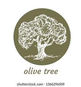 Sketch set of olive trees. Hand drawn vector illustration. Retro style.