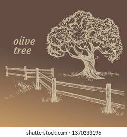 Sketch set of olive trees. Hand drawn vector illustration. Retro style.