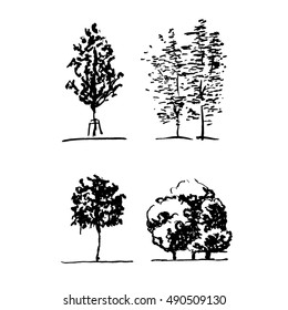 Sketch. Set painted some trees. Ink brush.