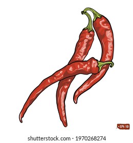 Sketch of a set of red hot chilli pepper. Watercolored vector illustration vegetarian food. Hand drawn vector illustration of chilli on white background. Tattoo.