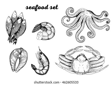 Sketch set of seafood. Hand drawn vector illustration